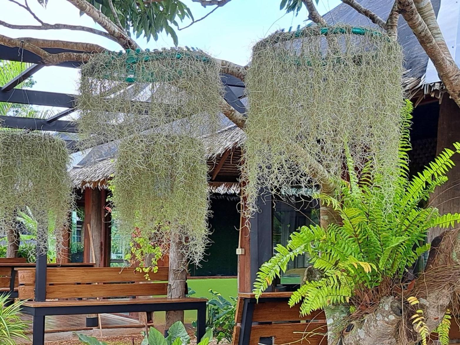 Kham Ecolodge Chiang Saen Exterior foto